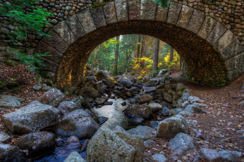 Картинка природа реки озера парк булыжники мост