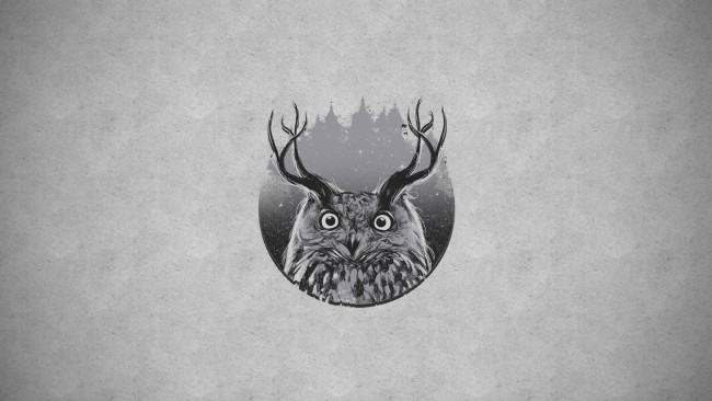 Обои картинки фото рисованные, минимализм, сова