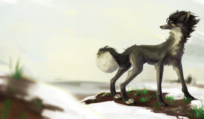 Обои картинки фото рисованные, животные,  собаки, собака