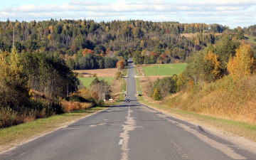 Картинка природа дороги лес осень дорога