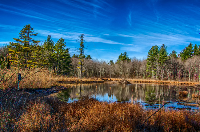 Обои картинки фото природа, реки, озера, лес, река