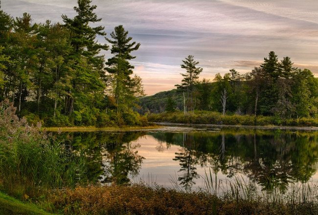 Обои картинки фото природа, реки, озера, река, лес