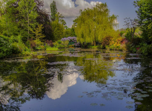 Картинка природа реки озера лес река