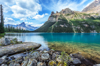 Картинка природа реки озера лес река