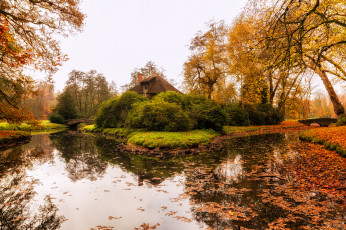 Картинка природа реки озера лес река