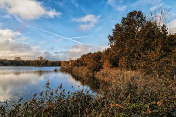 Картинка природа реки озера лес река