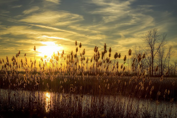 Картинка природа восходы закаты рассвет