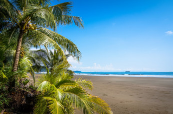 Картинка природа тропики курорт