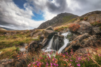 Картинка природа водопады лес река водопад