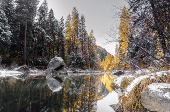 Картинка природа реки озера лес река