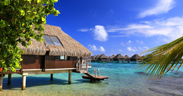 Картинка природа тропики курорт