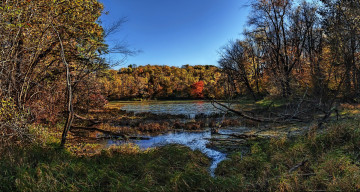 Картинка природа реки озера лес река