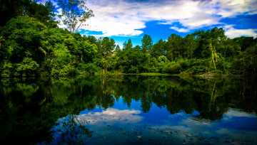 Картинка природа реки озера лес река