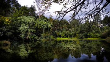 Картинка природа реки озера лес река