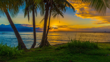 Картинка природа тропики курорт