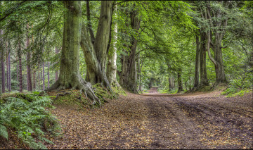 Картинка природа дороги тракт