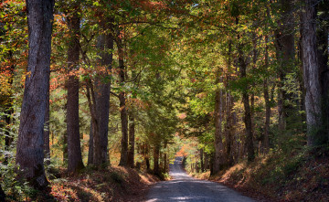 Картинка природа дороги тракт