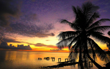 Картинка природа тропики курорт