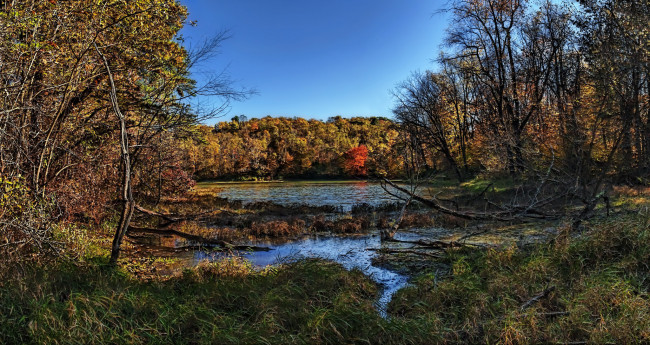 Обои картинки фото природа, реки, озера, лес, река