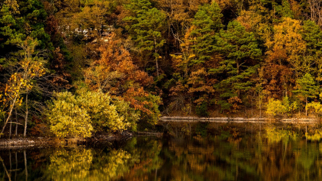 Обои картинки фото природа, реки, озера, лес, река