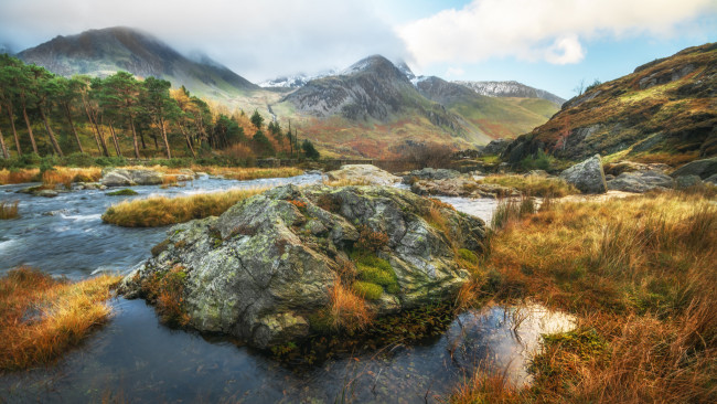 Обои картинки фото природа, реки, озера, лес, река