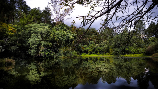 Обои картинки фото природа, реки, озера, лес, река