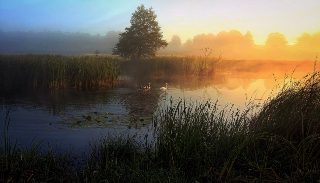 Обои картинки фото природа, восходы, закаты, рассвет