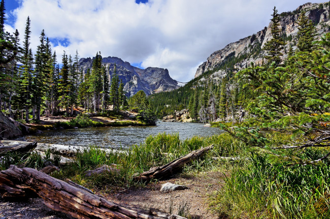 Обои картинки фото природа, реки, озера, лес, река