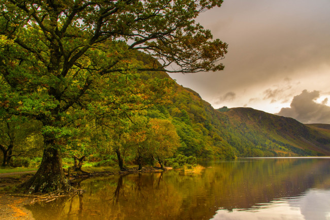 Обои картинки фото природа, реки, озера, лес, река