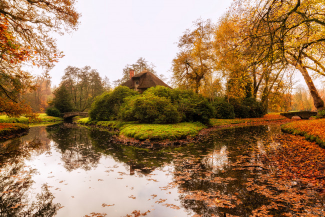 Обои картинки фото природа, реки, озера, лес, река