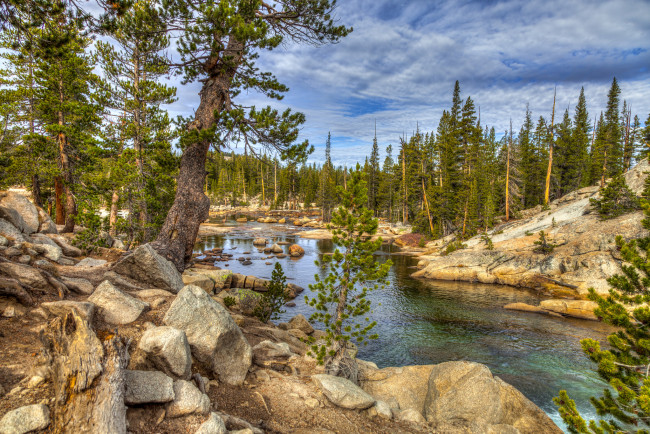 Обои картинки фото природа, реки, озера, лес, река