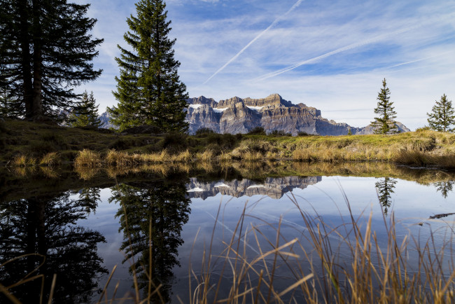 Обои картинки фото природа, реки, озера, лес, река