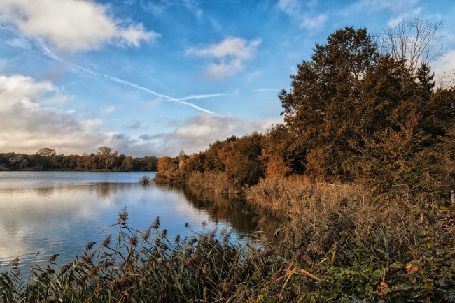 Обои картинки фото природа, реки, озера, лес, река