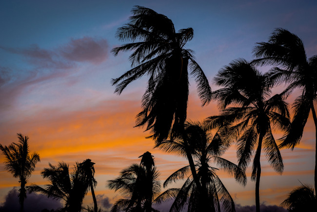 Обои картинки фото природа, тропики, курорт