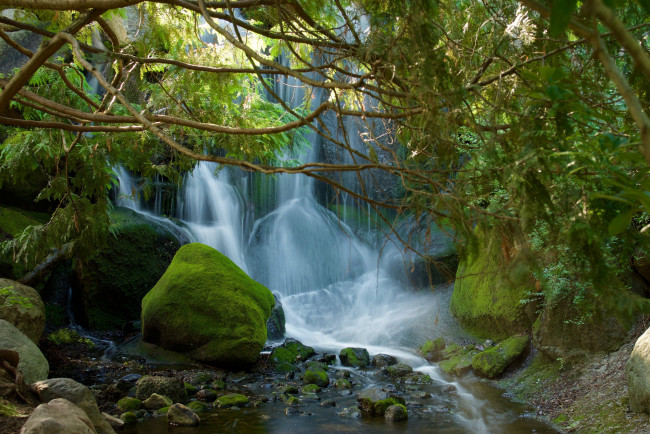 Обои картинки фото природа, водопады, лес, река, водопад