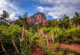 Картинка природа горы простор