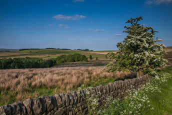 Картинка природа пейзажи простор