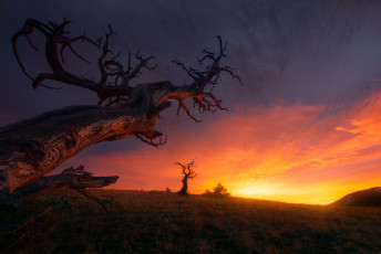 Картинка природа восходы закаты простор