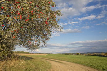 Картинка природа дороги простор