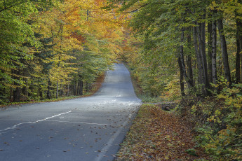 Картинка природа дороги простор