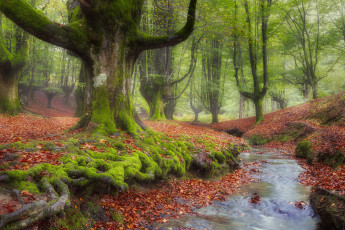 Картинка природа реки озера простор