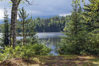 Картинка природа реки озера простор