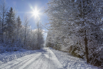 Картинка природа зима простор