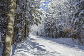 Картинка природа зима простор