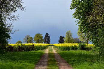 Картинка природа дороги простор