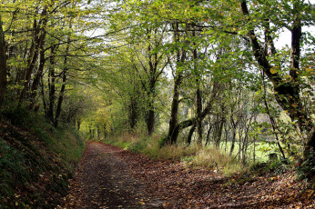 Картинка природа дороги простор