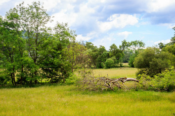 Картинка природа пейзажи простор