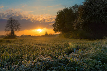 Картинка природа восходы закаты простор