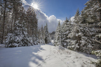 Картинка природа зима простор