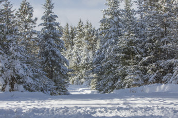 Картинка природа зима простор